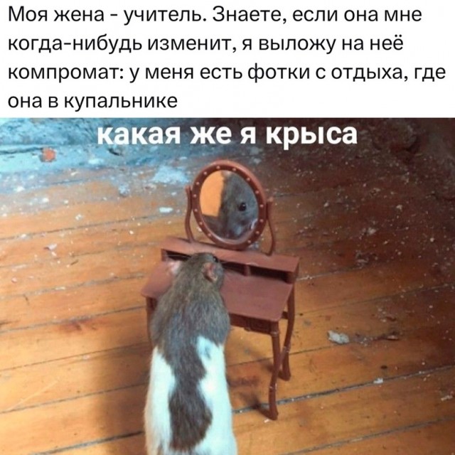 Весёлый полтишок 28.09.23