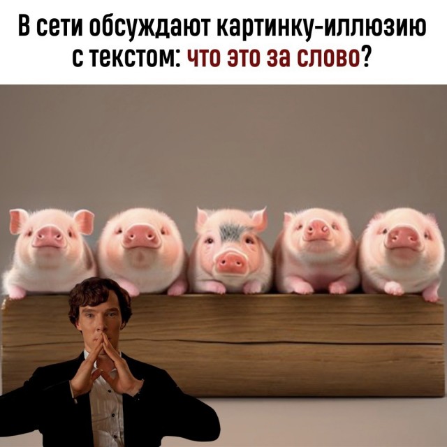Весёлый полтишок 11.01.23