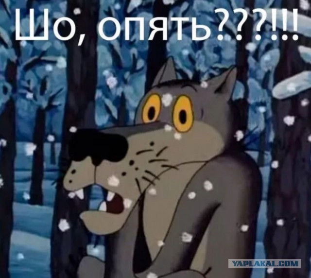 Вы не поверите, но оно случилось снова