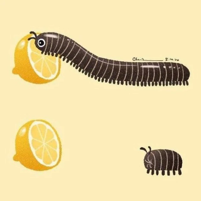 ТРРРидцать тРРРи от 21 мая