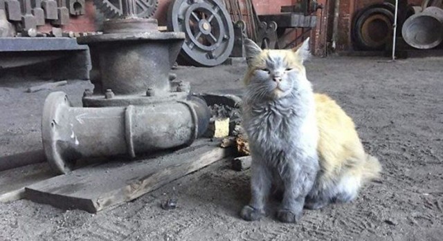 Пролетарский понедельник