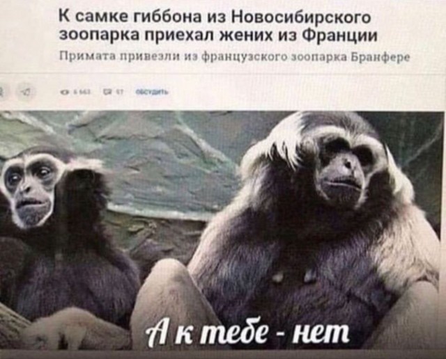 Сборник бабаянов и т.д. и т.п.