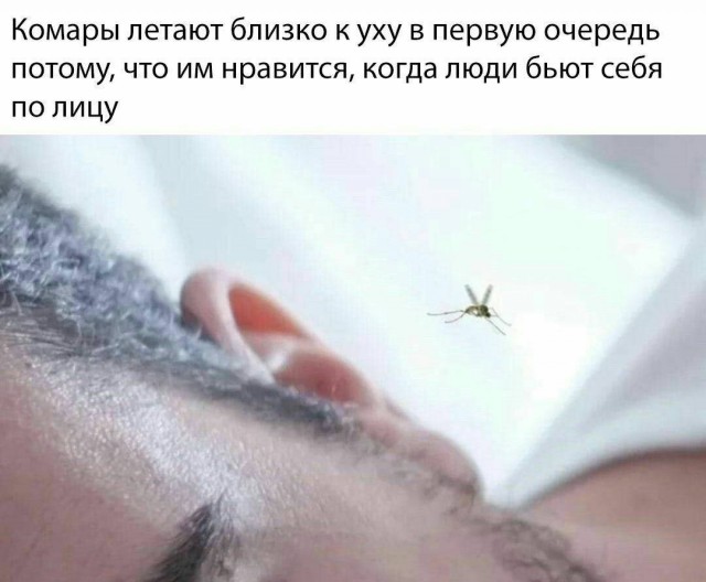 Всего понемногу. От 02.08.24