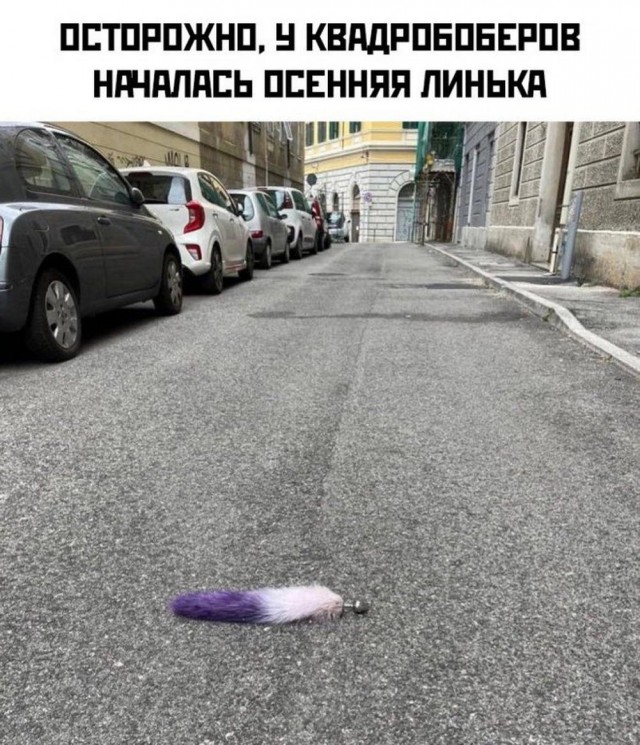 Веселые картинки к четвергу (03.10)