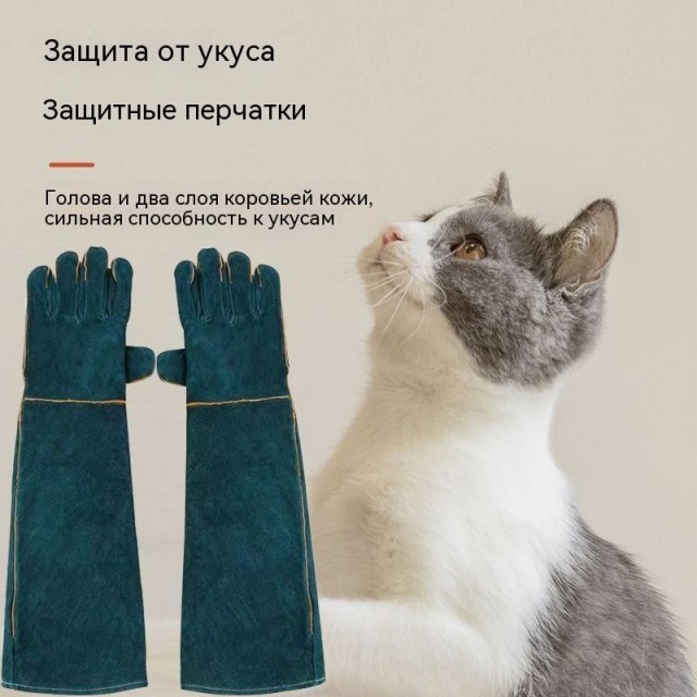 Жизнь домашнего приюта для котеек 520