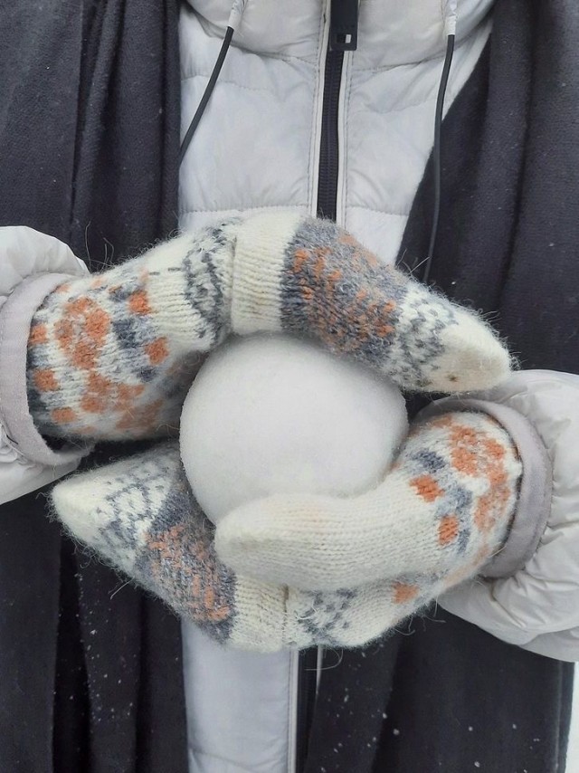Прикольные и просто красивые картинки 10.12.2024
