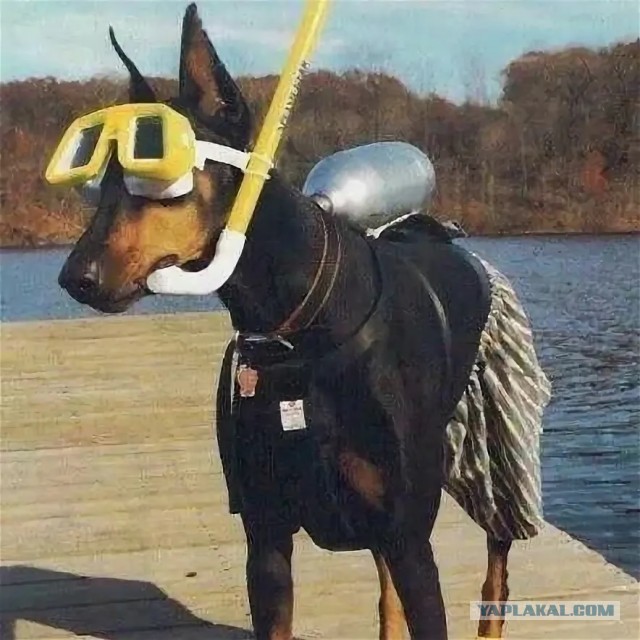 Будьте внимательны с ГИБДД