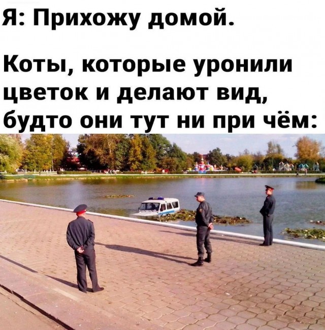 Завалялось тут случайно немного забавных картинок