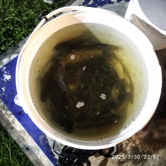 Рыбочетверг