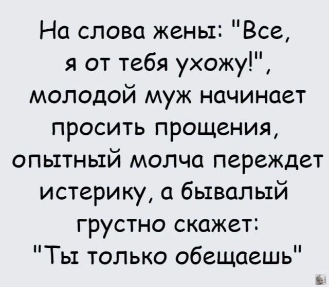 Весёлый полтишок 22.08.25