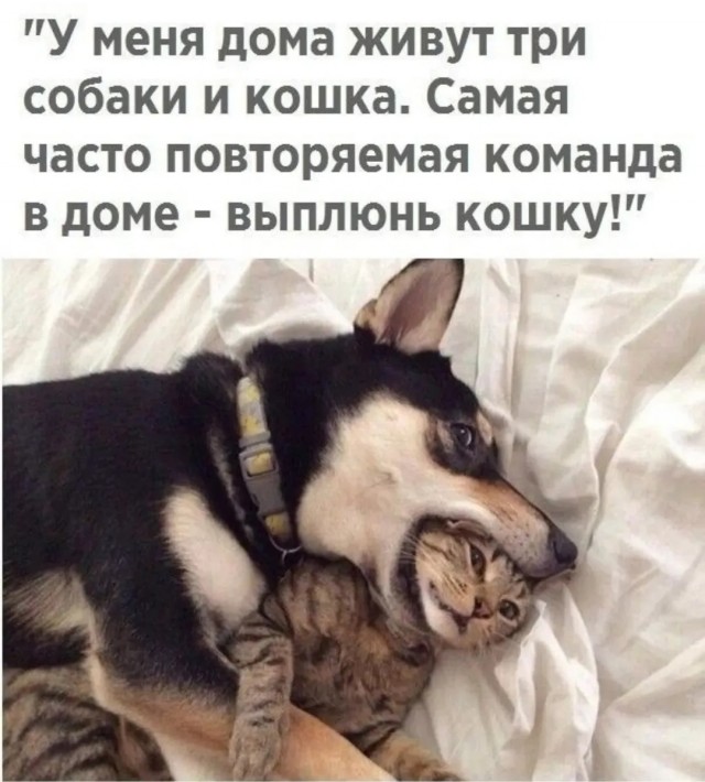 Так себе картинки 15.09.25