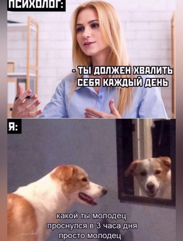 Картинки для деградации 57 (разной степени свежести)