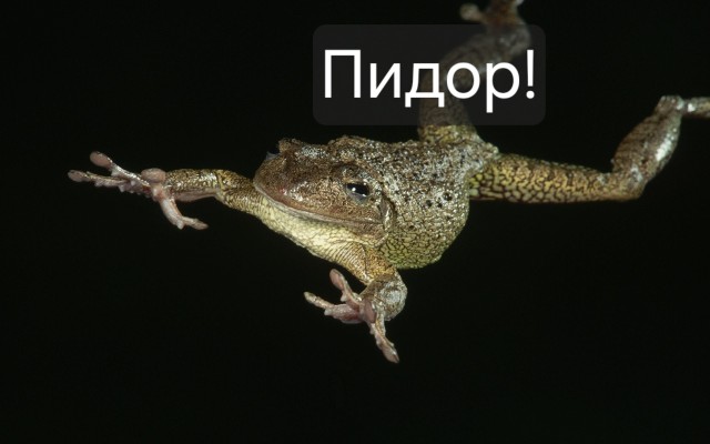 Помог лягушонку