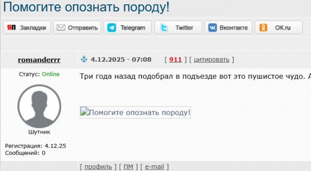 Помогите опознать породу!