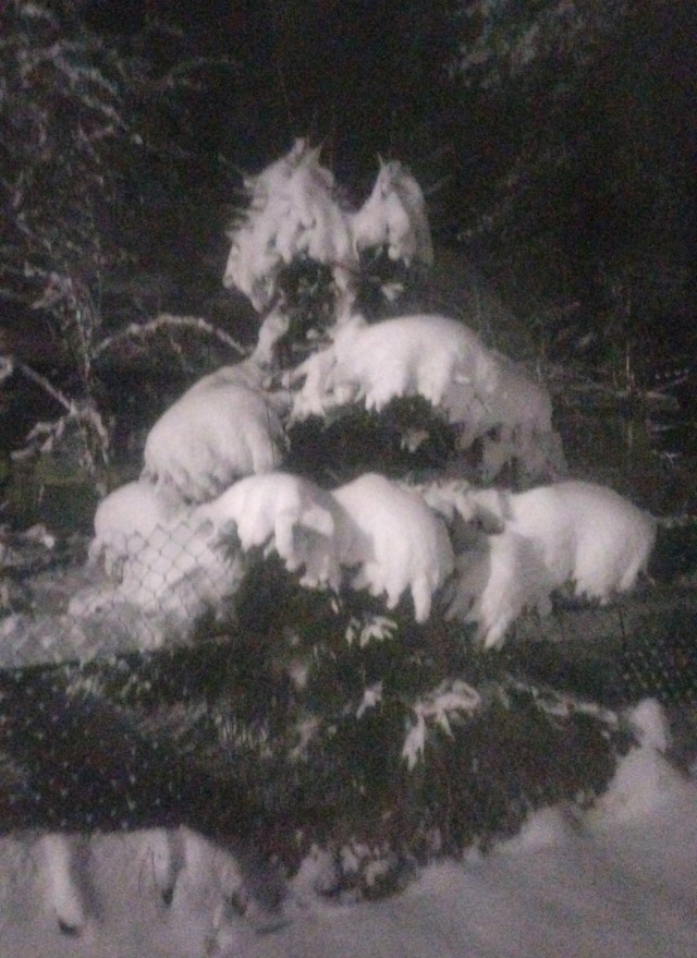 Новогоднее настроение.