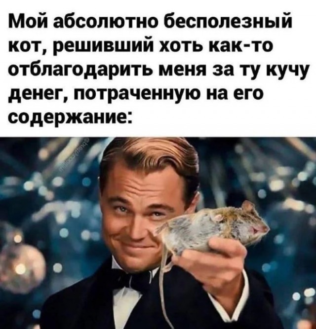 Картиночки, баянчики 29 января
