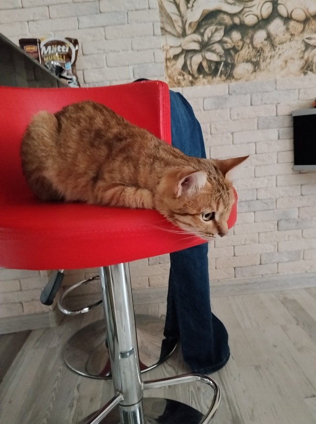 Беспредел