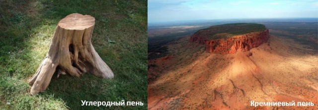 Затерянный лес нашли по спутнику. Что учёные увидели на вершине неприступной горы