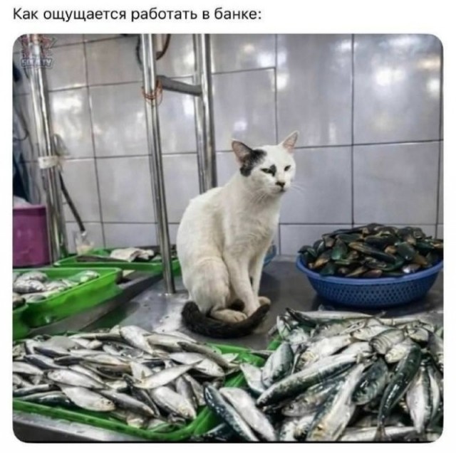 Так себе картинки 11.07.26