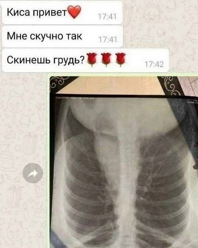 Веселое настроение в картинках 13.08.26