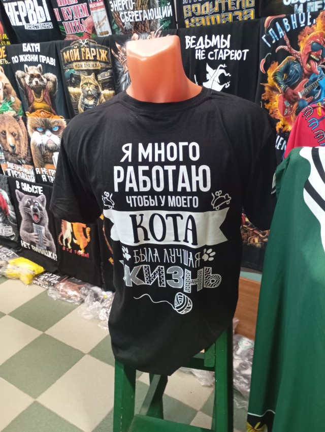 Объяснительная коту