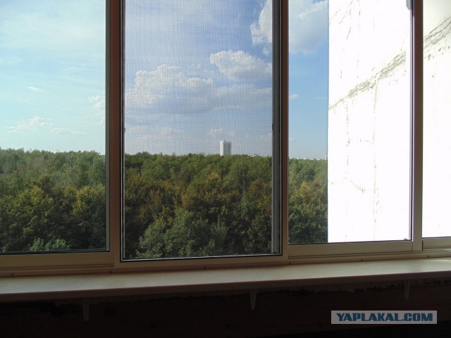Шашлык на квасе.