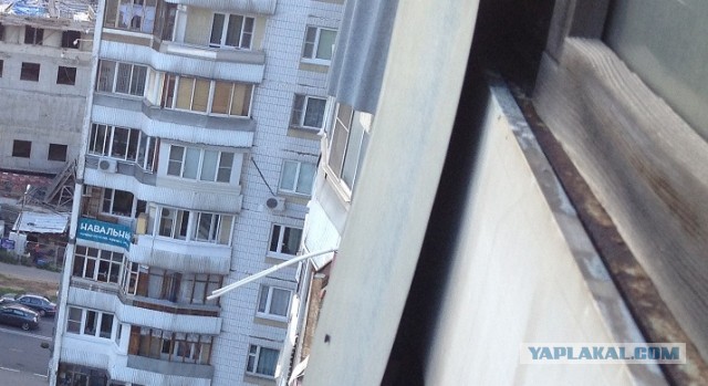 Баннер Навального