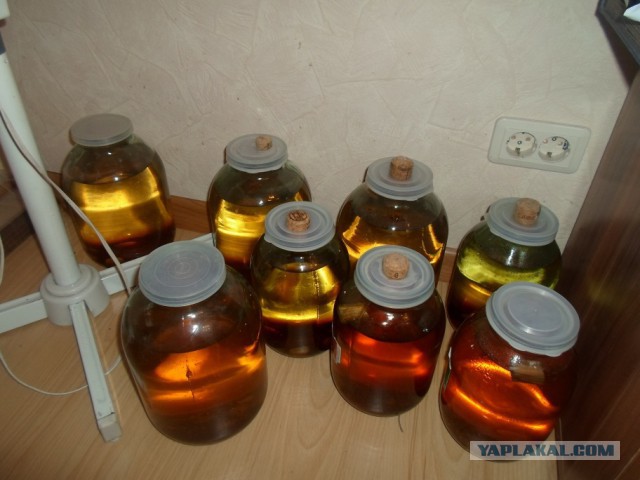 Самостоятельный гон.