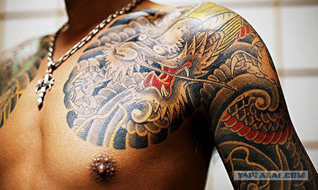 Моя жизнь в капсуле. Япония, Токио