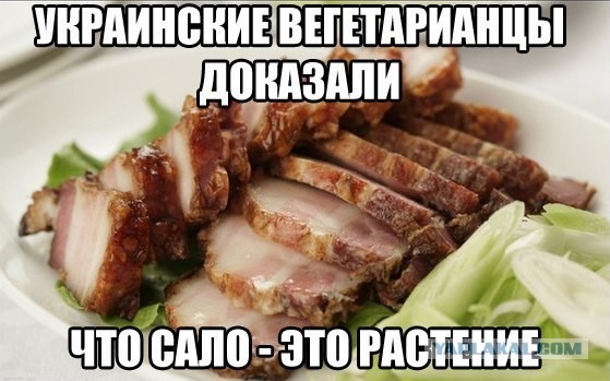 Мудрые веганы