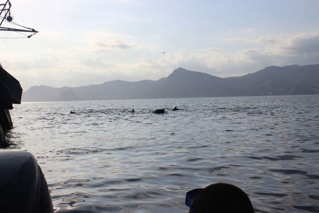 Отчёт о поездке в Крым 12.07 - 29.07