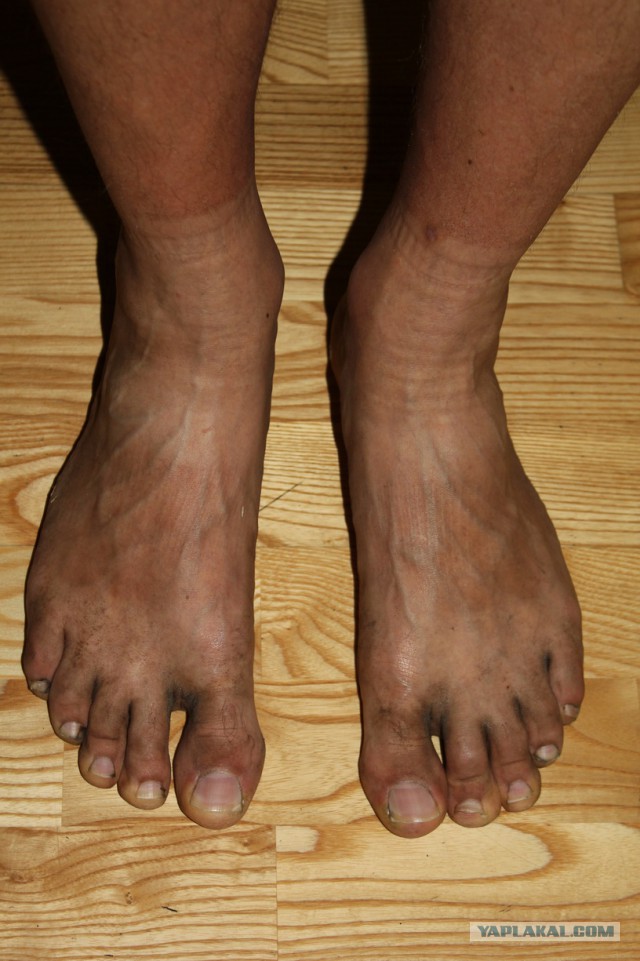 Дорога из Киева и из Москвы в Ялту.