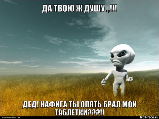 А они всё-таки есть...