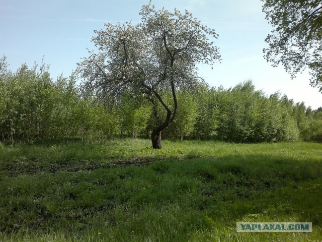 Продаю дом