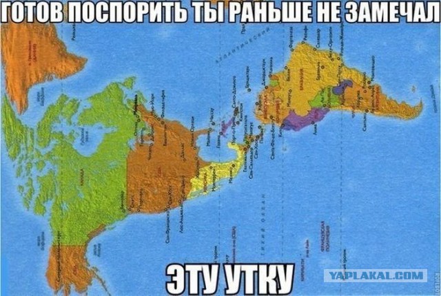 Картинки