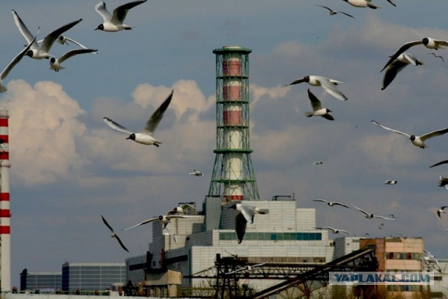 Жизнь Припяти до аварии