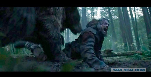 Эта медведица по имени Фифи ждала 30 лет чтобы ее спасли