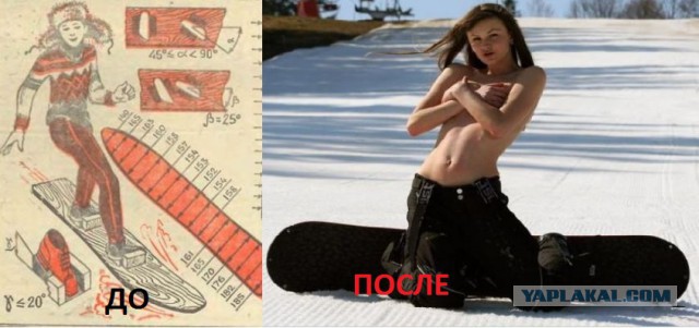 Эта медведица по имени Фифи ждала 30 лет чтобы ее спасли