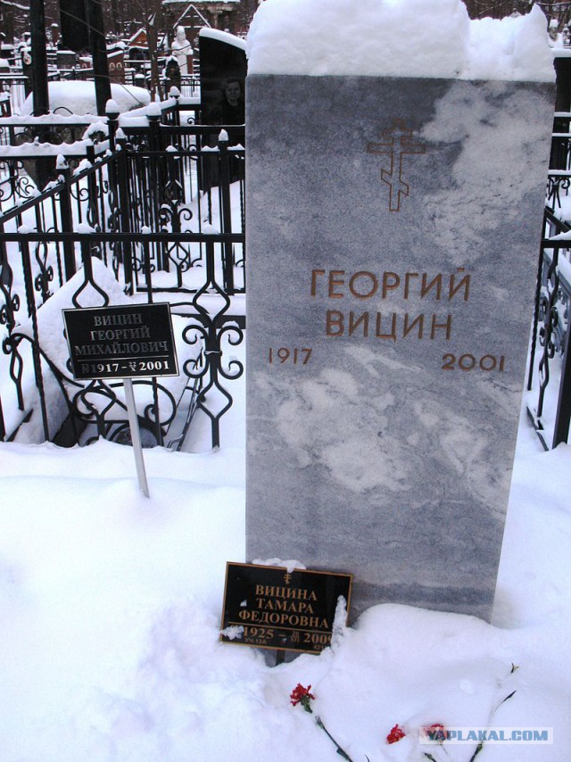 Георгий Михайлович Вицин
