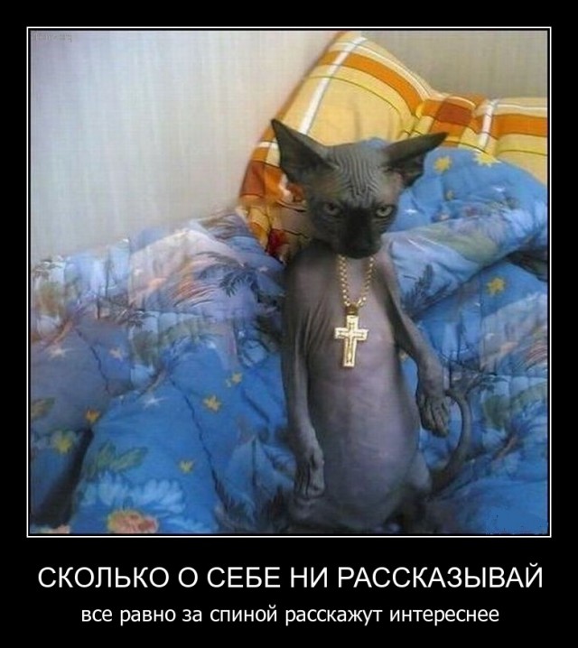 Субботняя подборочка картинок