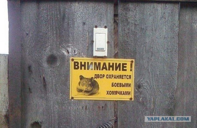 Дом, где лоб зеленкой мажут