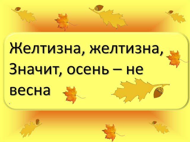 Пенсионарка-должница довела коллектора до самоубийства