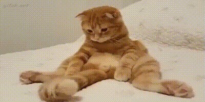 Пятничный фото-коктейль...