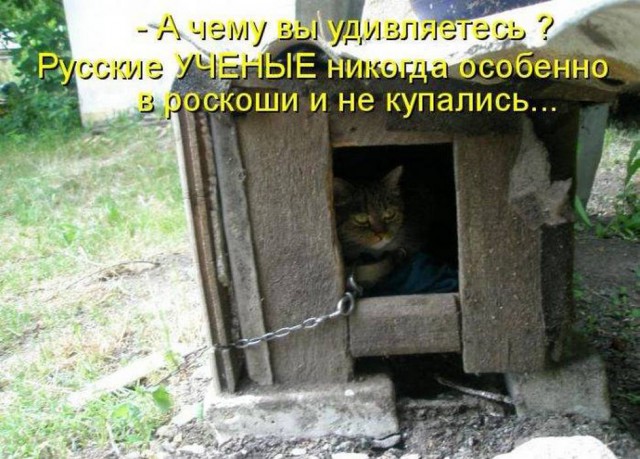 Картинки из инета