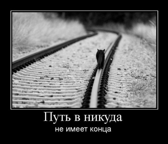 Картинки в черных рамках с подписями