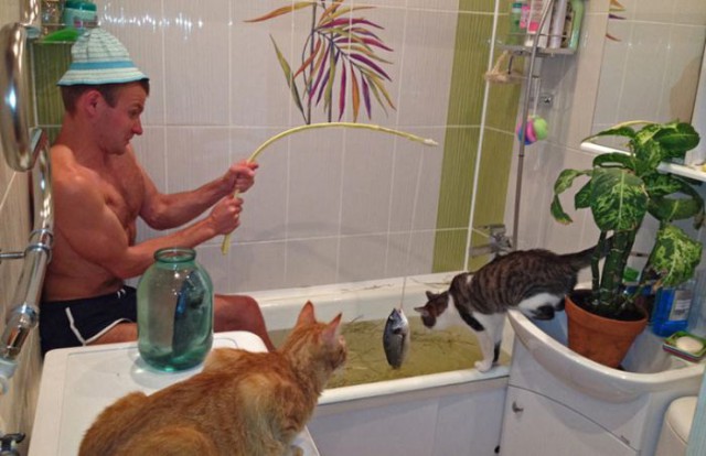 Коты и Кошки