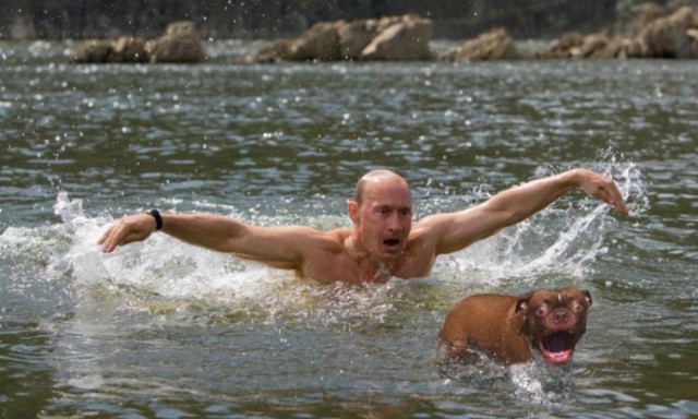 Жабельный собакен