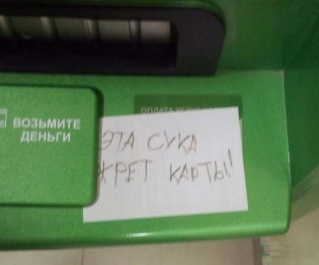 Прикольные картинки