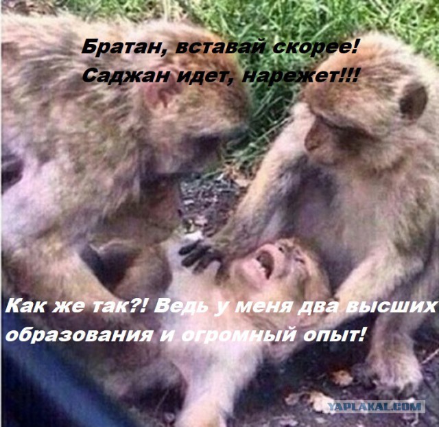 Южнокорейская тема - о работе и, немного, о жизни