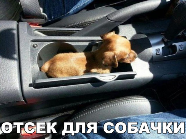 Нестандартный юмор